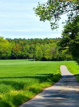 CA88(中国游)唯一官方网站